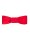 Einzelg&uuml;rtel rot(breit) mit roter G&uuml;rtelschnalle