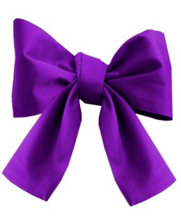 Sash Bright Violet Uni