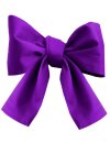 Sash Bright Violet Uni